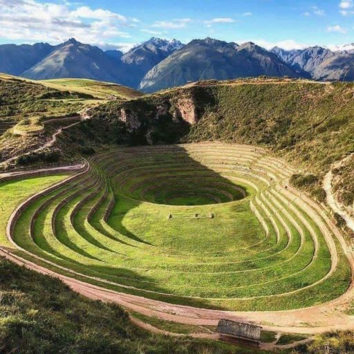 Maras Moray (4)